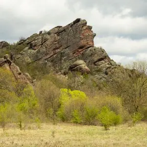 боровица секция